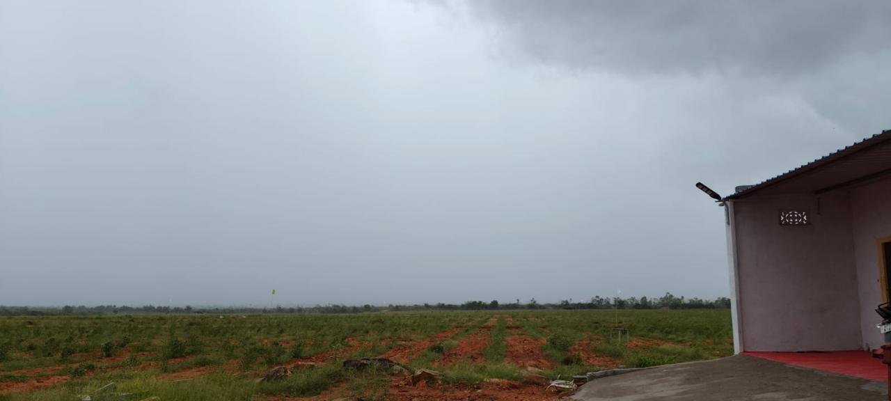 gallery | Vijayaa SandalWood Projects