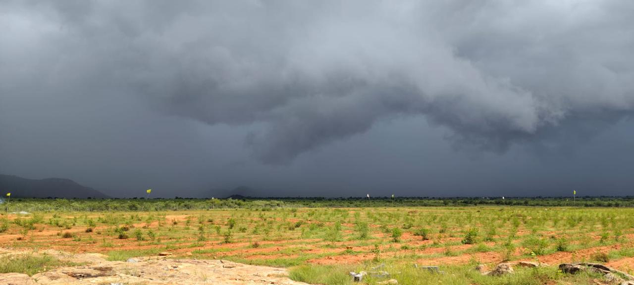 gallery | Vijayaa SandalWood Projects