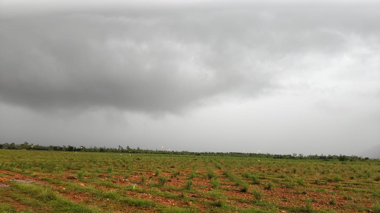 gallery | Vijayaa SandalWood Projects