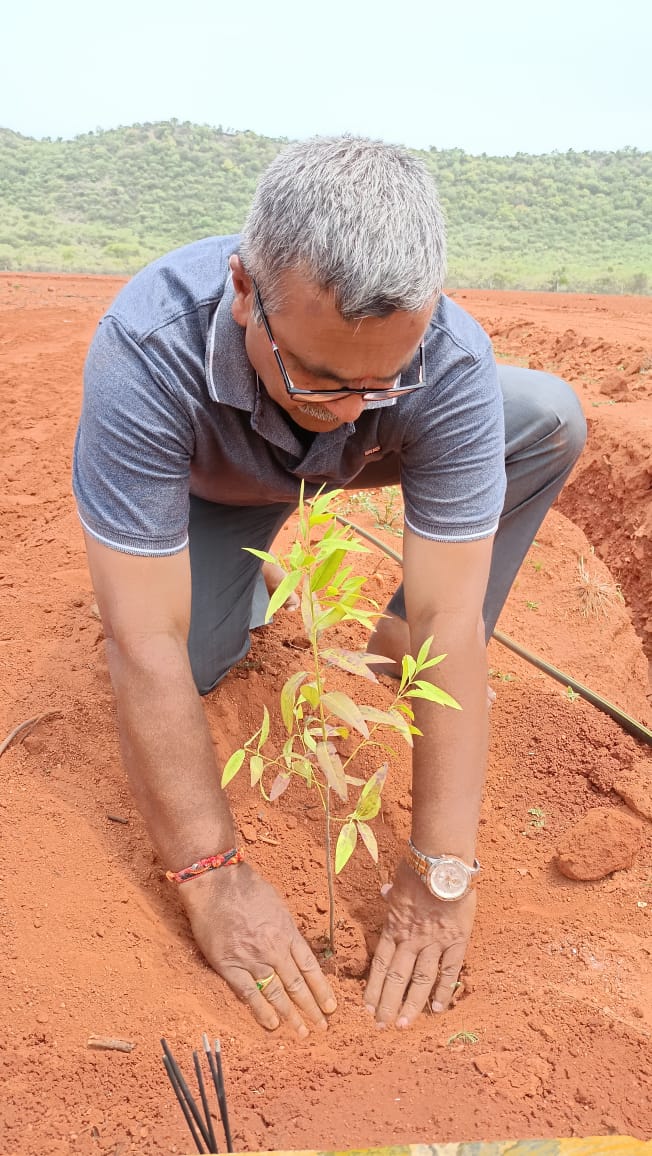 gallery | Vijayaa SandalWood Projects