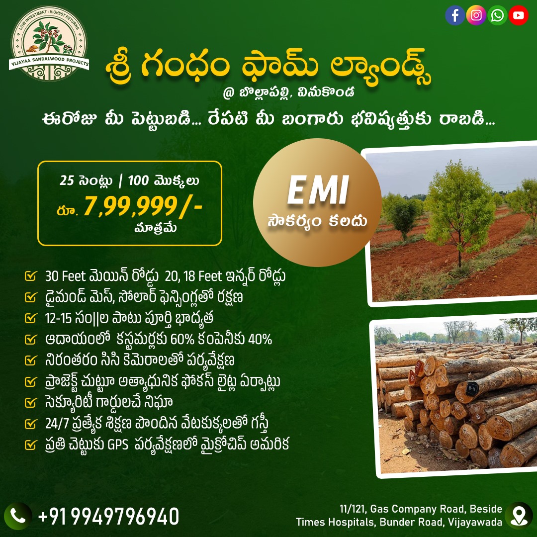 gallery | Vijayaa SandalWood Projects